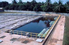 并于2026年02月11日09点 30分