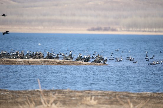 坚持以完善的法律法规体系护航保障