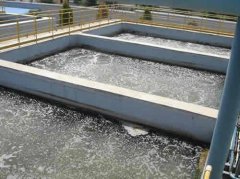 住建、城管、琴江镇、城