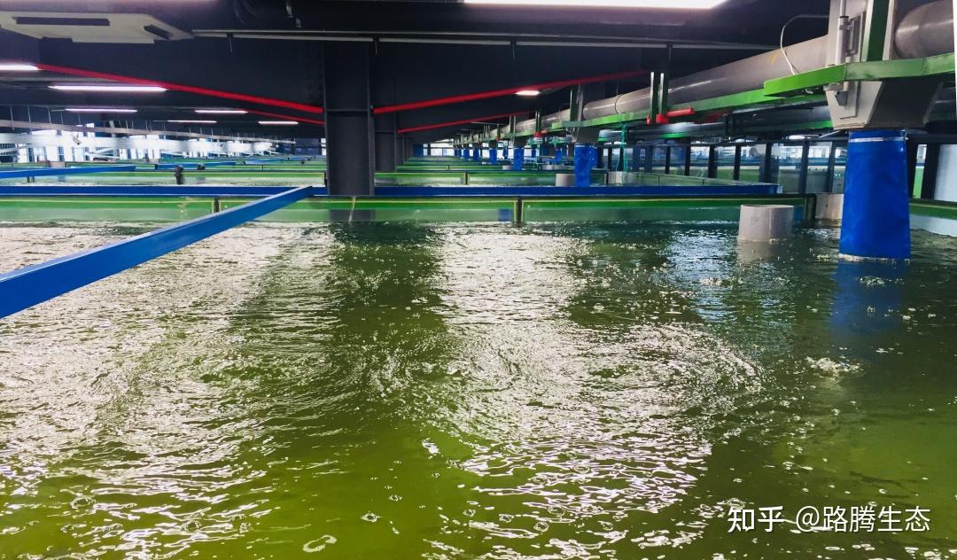 玉树州聚焦大气、水、土壤污染治理关键环节