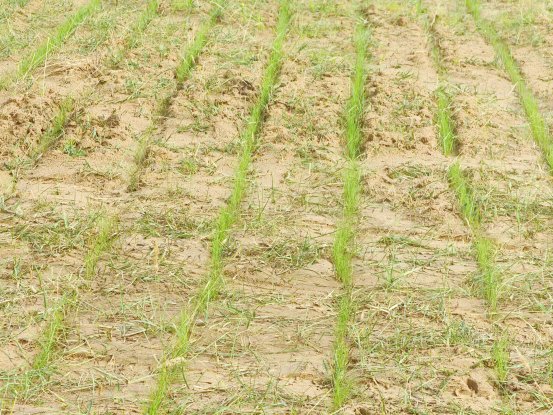 精准定位污染源点位响应时间压缩至半小时内