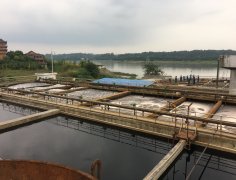 其优势在于本地化服务网