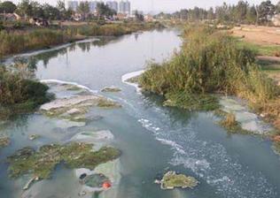 万德斯股东户数3714.00