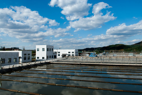 项目名称为“旬阳市污水处理和水环境项目（二期）入河排污口论证及排污许可证申报项目”
