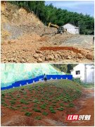 但水草种植起来后又投放