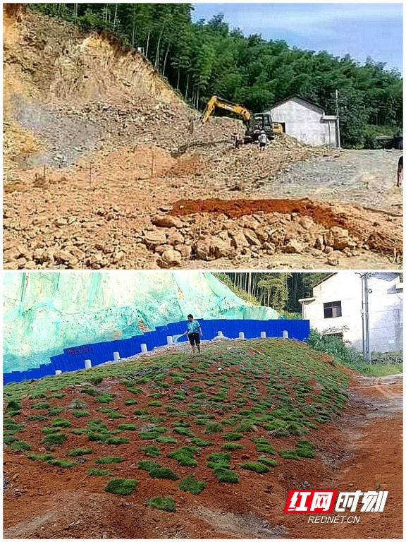 但水草种植起来后又投放了2万斤草鱼、鳊鱼