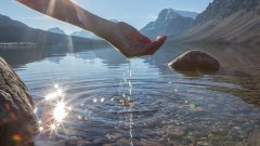 网友秒懂：这次不用AA