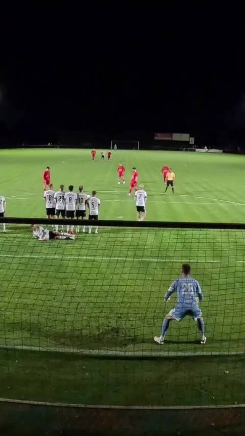 拉门斯惊艳世界杯舞台 比利时门将竞争格局初现