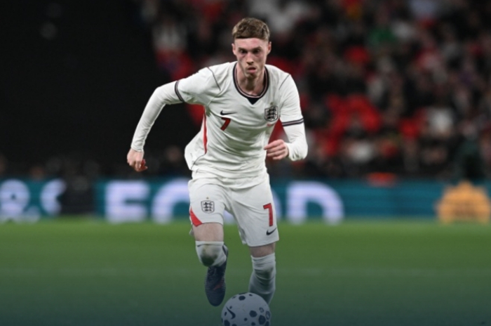 日本队首胜英格兰引发媒体争议，董路黄健翔激